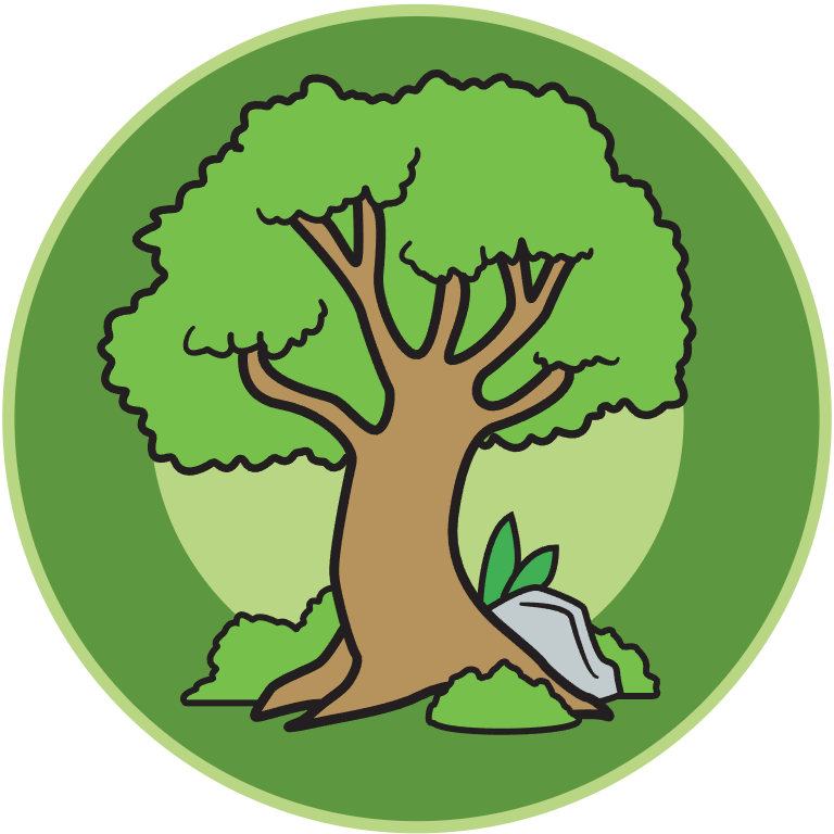 Eco Explorer